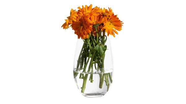 Flowers bouquet