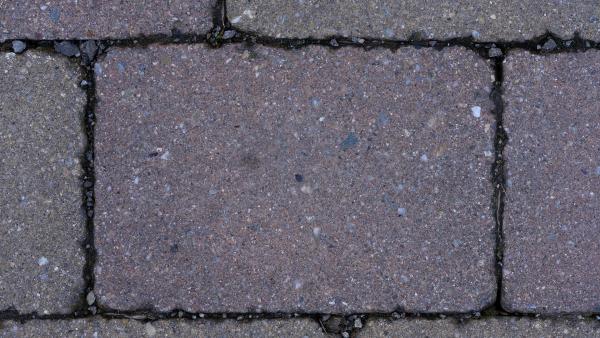 Pavement brick photo