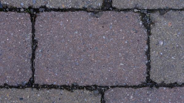 Pavement brick photo