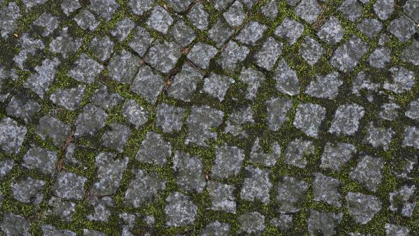 Stone brick pavement