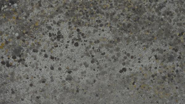 Old concrete texture