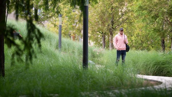 Black man standing between the bushes in park