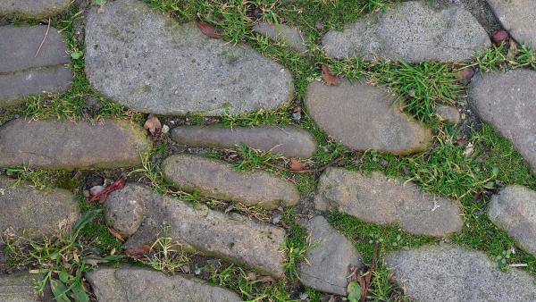 Round cobblestone and grass