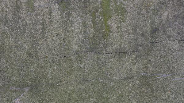 Concrete wall with moss