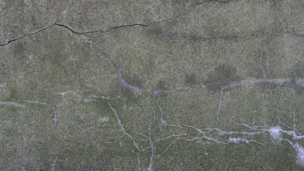 Concrete wall with moss