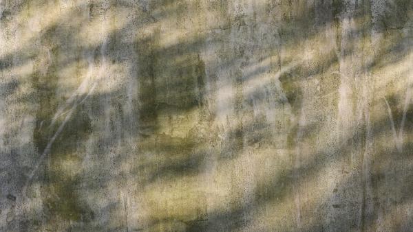 Concrete wall with moss and patches of light