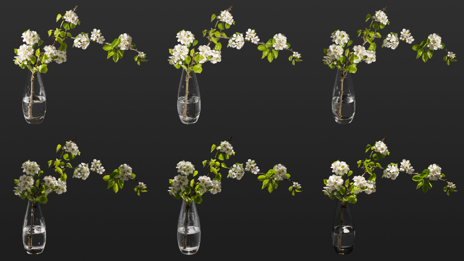 Flowers bouquet