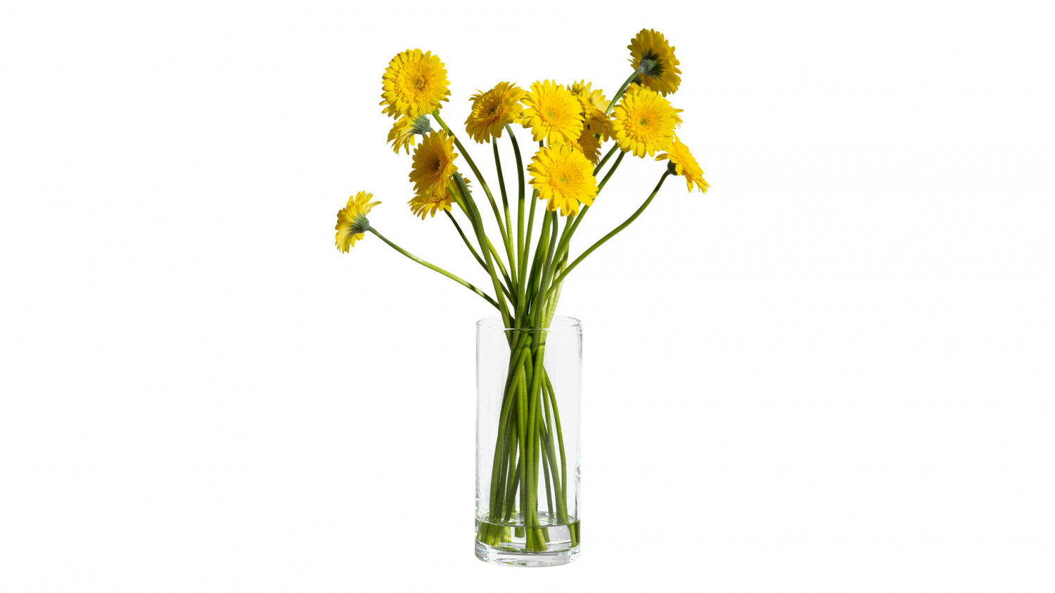 Flowers bouquet