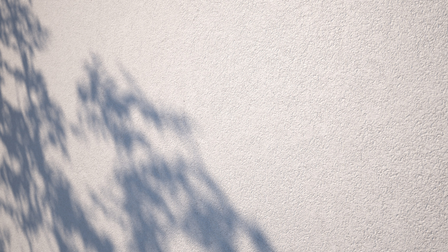 Wall plaster texture