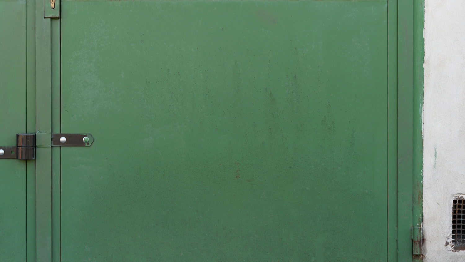 Painted green metal plate image