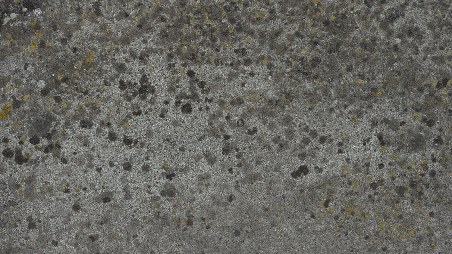 Old concrete texture image