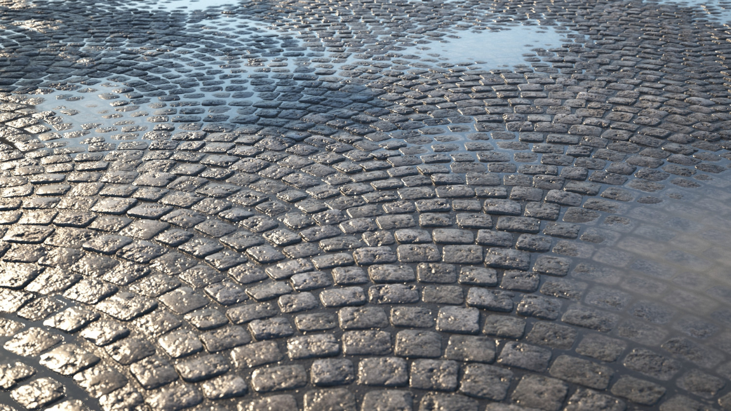 Wet stone pavement texture