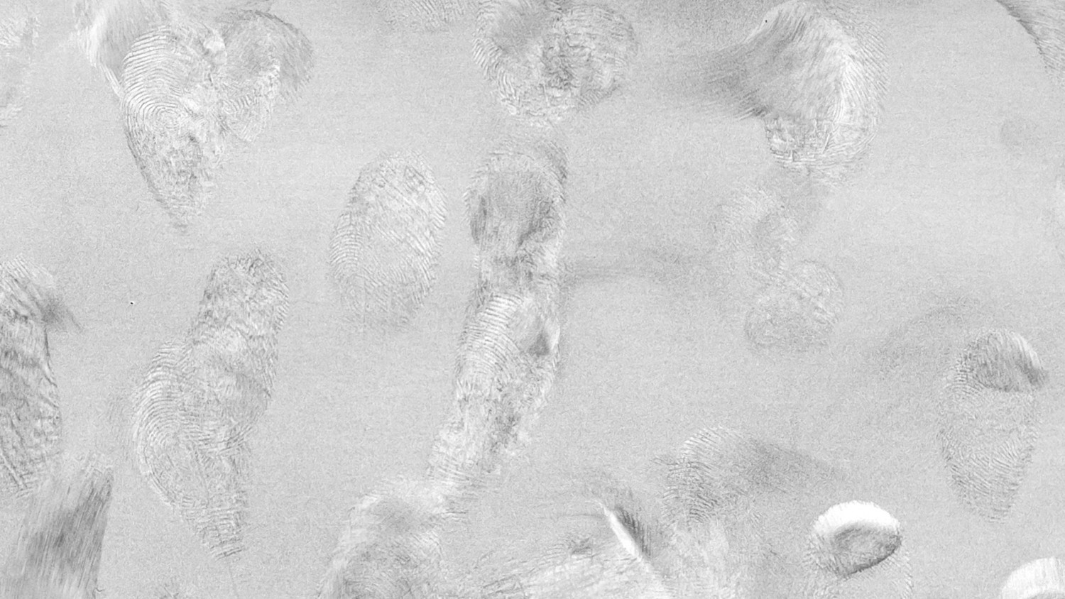 Dirty fingerprinted surface texture