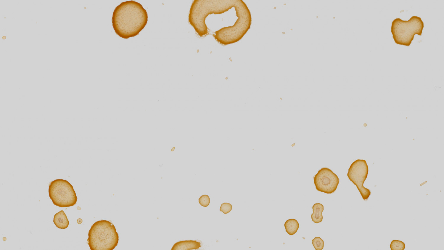Coffee stains on white background