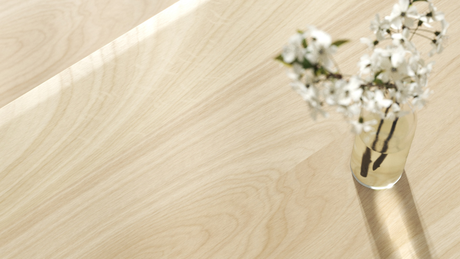 Birch veneer wood texture