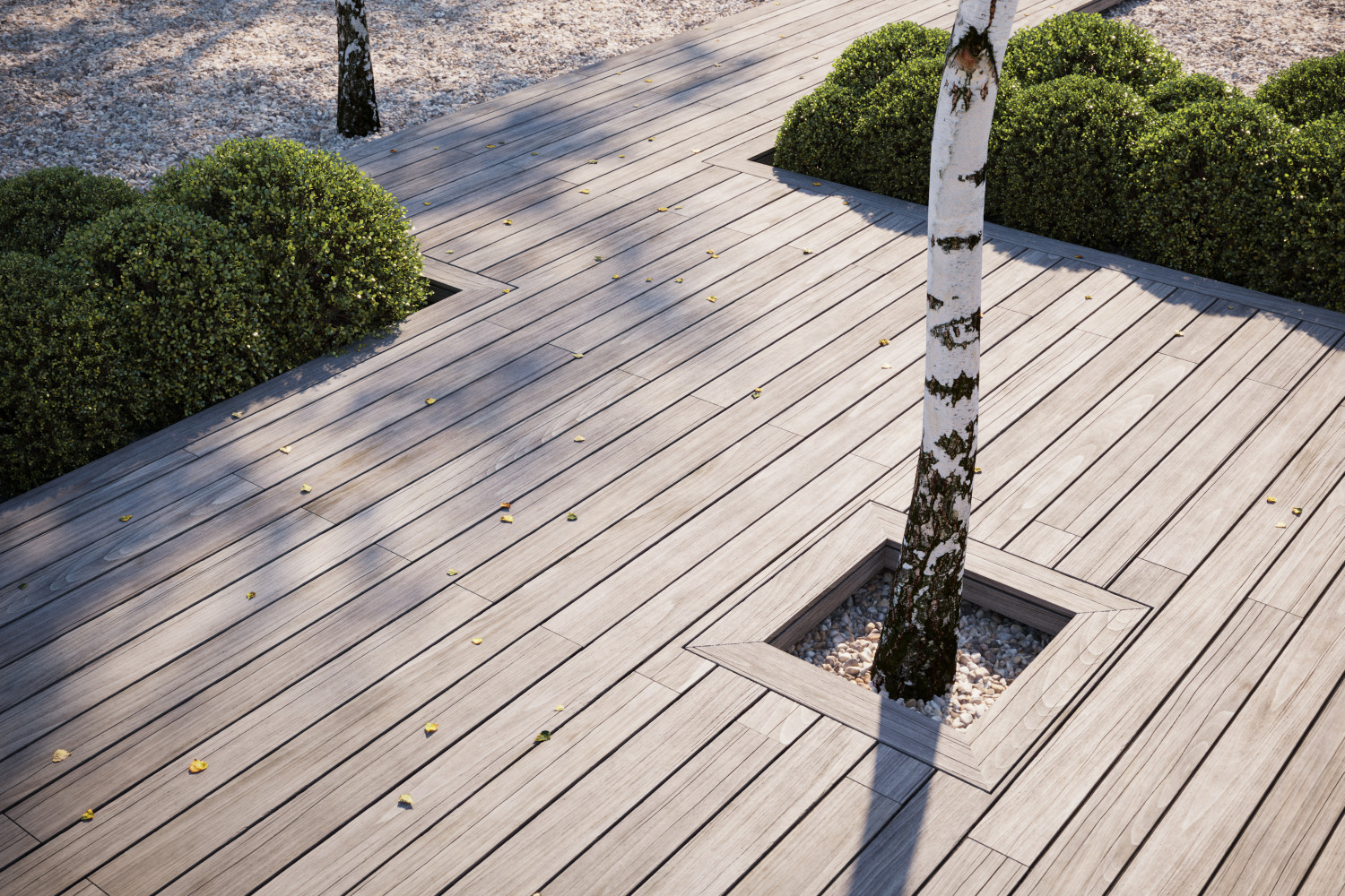 Siberian Larch decking texture