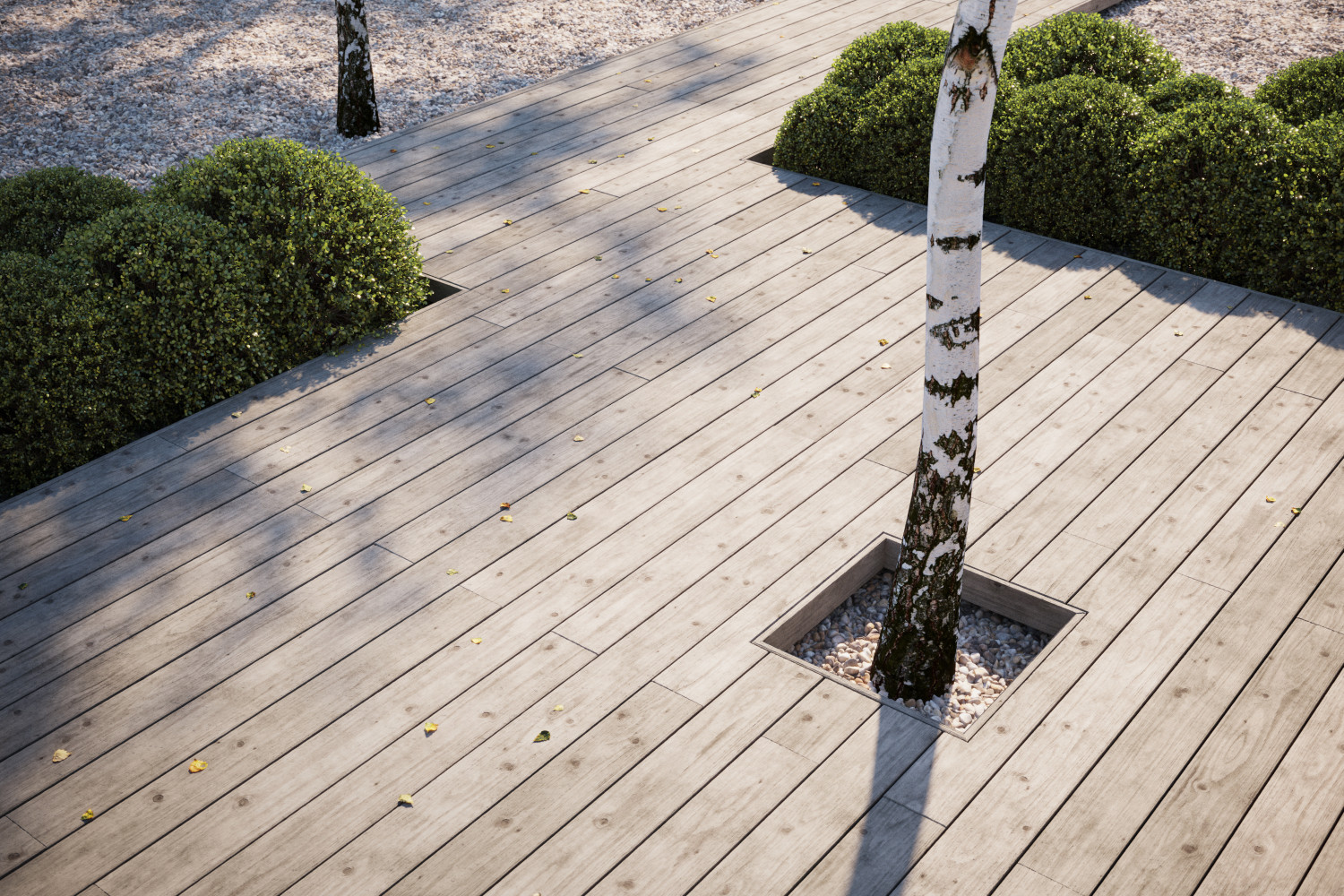 Old oak decking