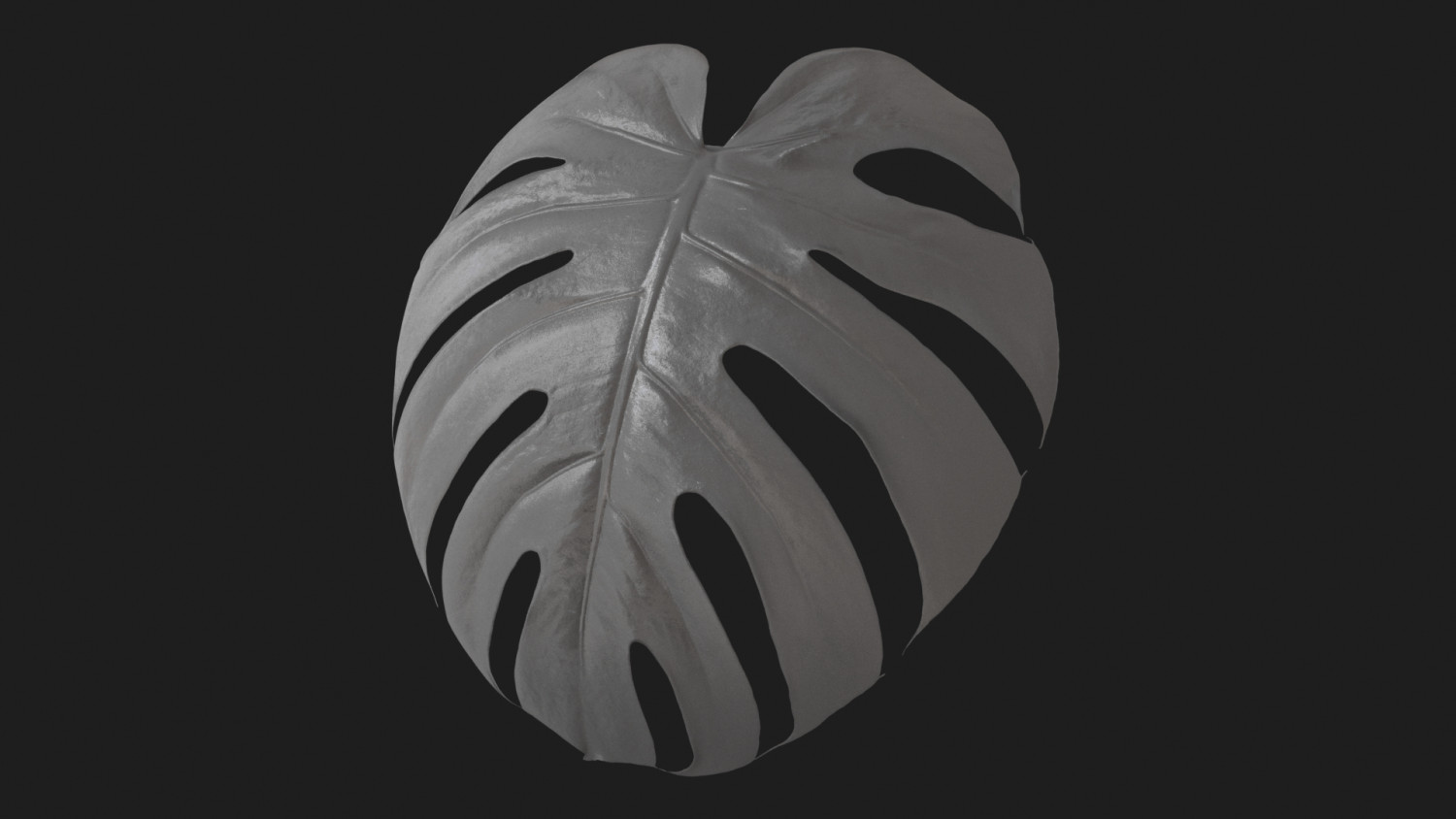 Monstera deliciosa texture