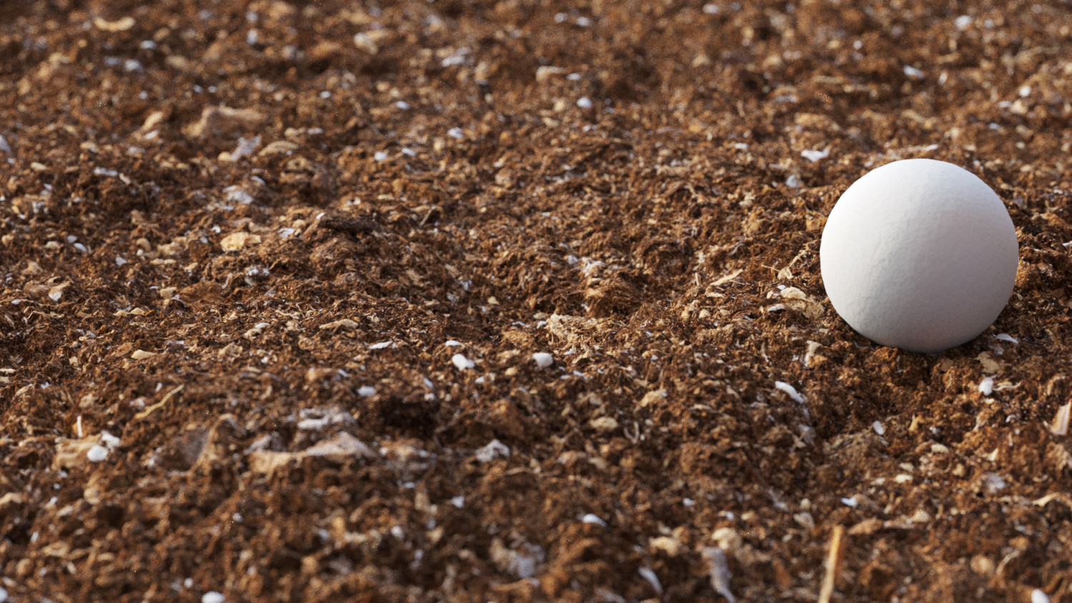 Pot Soil Texture